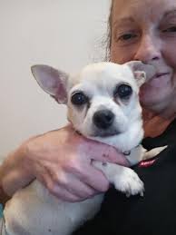 Hey there! I wanted to share an important cause that needs our support.  Mrs. Nisreen Salem has faced unimaginable loss and is now hoping to have a  healthy baby through IVF, but