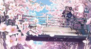 Anime Wallpaper 4436x2389 5 Nenme No Houkago Bicycle Brown Hair Cherry Blossoms Clouds Anime Cherry Blossom Cherry Blossom Wallpaper Cherry Blossom Drawing