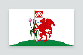 Representing the citizens of wales, this country flag features a red dragon on a background of green and white. Let S Give Cardiff A Flag To Be Proud Of John Jane