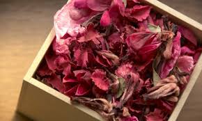 We did not find results for: L Art Du Sechage Des Fleurs Et Des Pots Pourris Trucs Pratiques