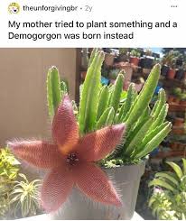 We did not find results for: Plants That Look Like They Re From An Alien Planet