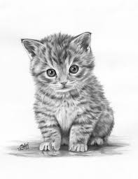 Animals Drawings 100 00 Via Etsy Animal Drawings Kitten Drawing Cat Art