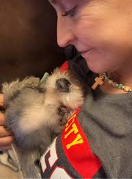 Thank you, Patty Spitler and...