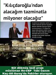 Nimet Seyrekel Adli Kullanicinin Ataturk Cu Abi Panosundaki Pin Manevi Avukatlar Kedi