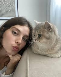 Taco cupcakes with ground beef and wonton wrappers