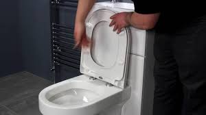 Quick release soft close toilet seat. Top Fixing Soft Close Toilet Seat D Shape Youtube