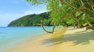 We did not find results for: 5 Tempat Wisata Pantai Cantik Di Papua Papua