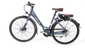 Infos Velo Wayscral Hybrid Un Vae Motorise Par Michelin