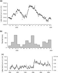 Image result for Panicum chambeshii