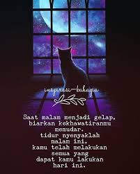 Kucing hitam, ada apa dengan kucing hitam? Saat Malam Menjadi Gelap Biarkan Kekhawatiranmu Memudar Tidur Nyenyaklah Malam Ini Kamu Telah Melakukan Semua Yang Dapat Kamu Lakukan Hari Ini Goodnight