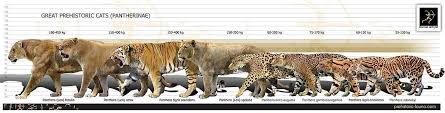Pin By Keely Murphy On Extinct Prehistoric Animals
