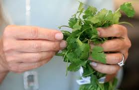 Inside one Latter-day Saint food blogger's journey to culinary success