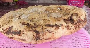 Dilihat dari jenis usahanya, terdapat 4 (empat) macam koperasi yakni koperasi produsen, koperasi konsumen, koperasi simpan pinjam dan koperasi. Jenis Jenis Ambergris Muntahan Ikan Paus Milik Nelayan Sudah Ditawar Rp 3 3 Miliar Jpnn Com Salah Satu Cara Yang Paling Mudah Wolu Sree