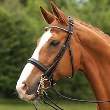 Otto Schumacher Tiffany Double Bridle Dressage Extensions