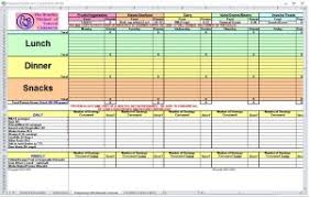 Pregnancy Diet Spreadsheet Pregnancy Diet Template