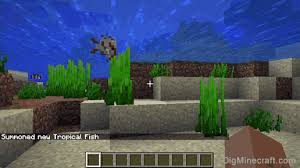 How To Summon A Tropical Fish In Minecraft Aquatic Update There Are 22 Different Types Of Tropical Fish Tropical Fish Tropical Summoning