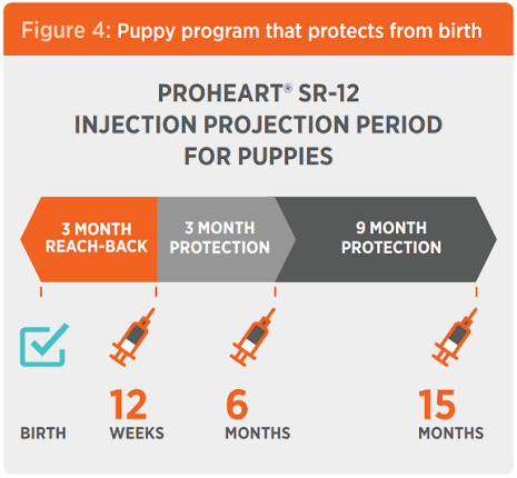 Proheart | Zoetis