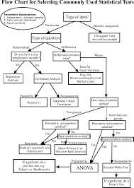 Http Abacus Bates Edu Ganderso Biology Resources Stats Flow Chart V2014 Gif Statistics Math Research Methods Data Science