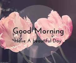 150 Beautiful Good Morning Images Best Collection Good Morning Beautiful Pictures Good Morning Beautiful Good Morning Images