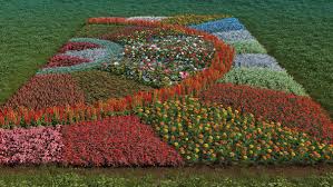 78 flower models for flowerbeds