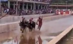 Jun 13, 2021 · more sports news: Indian Construction Worker Beats Usain Bolt S 100m World Record With Help From Two Buffaloes Daily Mail Online