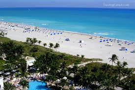 Layover In Miami Check Out Miami South Beach