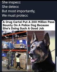 Make big dog small dog memes or upload your own images to make custom memes. That S Really Just 35 Bucks Honestly Memes