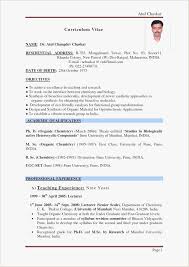 Resume Format For Bsc Chemistry Freshers Pdf Best Resume Examples