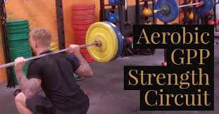 Gppfitness.com has google pr 2 and its top keyword is gpp with 84.31% of search traffic. Aerobic Gpp Circuits For Fighters Fight Camp Conditioning