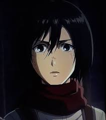 Attack On Titan Mikasa Attack On Titan Fanart Attack On Titan Attack On Titan Ships