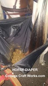 Pin By Arauzyeralk On Mis Pines Guardados Horse Manure Horses Manure