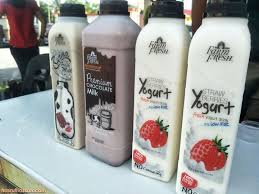 Aku beli semua jenis susu kurma (mukbang malaysia) подробнее. 8 Sebab Kenapa Saya Pilih Susu Segar Farm Fresh
