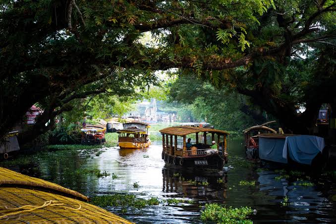 Alappuzha (Alleppey) Backwaters Image 1