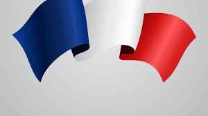 Téléchargez comme pdf, txt ou lisez en ligne sur scribd. Descargar Material En Frances Pdf Para Ninos Educalibre