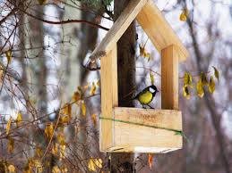 Hi, this is nicholas iarocci, the home source guy, president and owner of source development, inc., a residential and commercial construction company in. Bird Feeders From Bird Feeders To Bird Food 10 Essentials That Will Help You Take Care Of Free Or Pet Birds Most Searched Products Times Of India