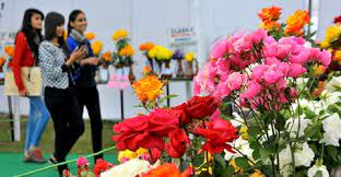 Rose Festival In Chandigarh 2021 Cultural Events In Chandigarh Ihpl Spring garden festival, goochland, virginia. rose festival in chandigarh 2021