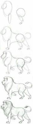 كيفية رسم الاسد drawing tutorial sketches art drawings