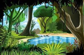 Cartoon Jungle Illustration Cartoon Jungle Illustration Jungle Cartoon Jungle Scene