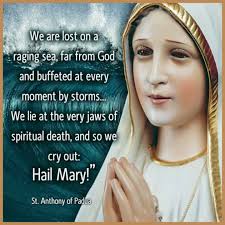 Prayer to the Immaculate Heart of Mary for World Peace O Immaculate Heart  of Mary, We come before you with humble hearts, seeking your intercession  for peace in our troubled world. In