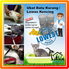 Jangan tidak mempedulikan darah dalam kencing dalam air kencing, kecuali pada wanita. Special Sales Ubat Batu Karang Kucing Urine Stone Lawas Kencing Capsules Shopee Malaysia