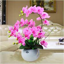 26 lukisan bunga sketsa 50 gambar bunga matahari foto wallpaper. Fast Delivery Orchid Fake Flowers In Apple Pot Bunga Orkid Palsu Dalam Pasu Apple Shopee Malaysia