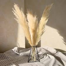 Maybe you would like to learn more about one of these? 55cm Pampas Grass Decor Extra Large Natural Dried Flowers Bouquet Wedding Flowers Vintage Style For Home Valentine S Day Gift Mega Sale Ea302 Goteborgsaventyrscenter