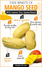 Mango Seed Benefits Mango Benefits Mango Health Benefits Avocado Seed Benefits