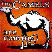Only about 30 percent of camel buyers are female. Camel Cigarette Wikipedia