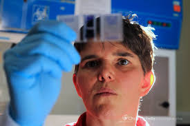 Busy old day. Nice shoot this afternoon for the @SheffieldStar with  Professor Alison Gartland at the University of Sheffield.