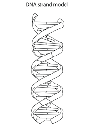 Pin On M 3m S Coloring Pages