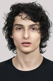 Finn Wolfhard: Biography, Movies, Net Worth & Photos