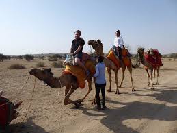 Camels is an exercise for the b2 first use of english set at an upper intermediate level of english. Our Camels They Have Another Name Fatan Can Tell You Picture Of The Real Deal Rajasthan Camel Safari Jaisalmer Tripadvisor