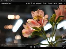 Png File Screenshot Png Images Png Free Picture Frames