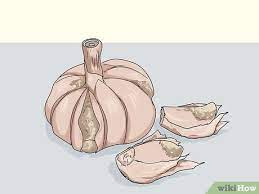 How do you remove garlic smell from a house? 3 Simple Ways To Know If Garlic Is Bad Wikihow